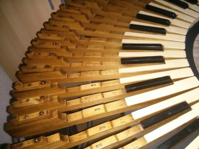 Alejandro_de_la_Torre_4