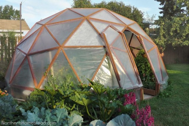 Greenhouse_20