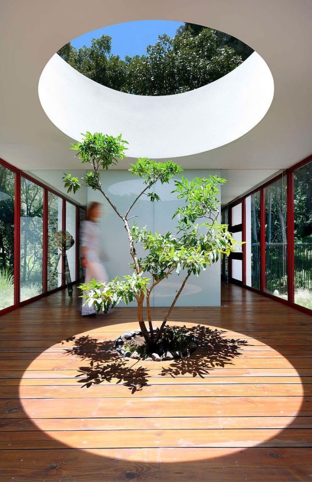 Patios_interiores_22